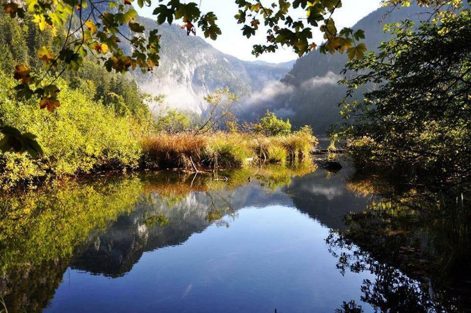 Greenheart Aussee Obersdorf ภายนอก รูปภาพ