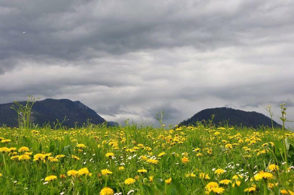 Greenheart Aussee Obersdorf ภายนอก รูปภาพ